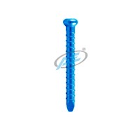 Titanium 4.9mm Interlocking Bolt
